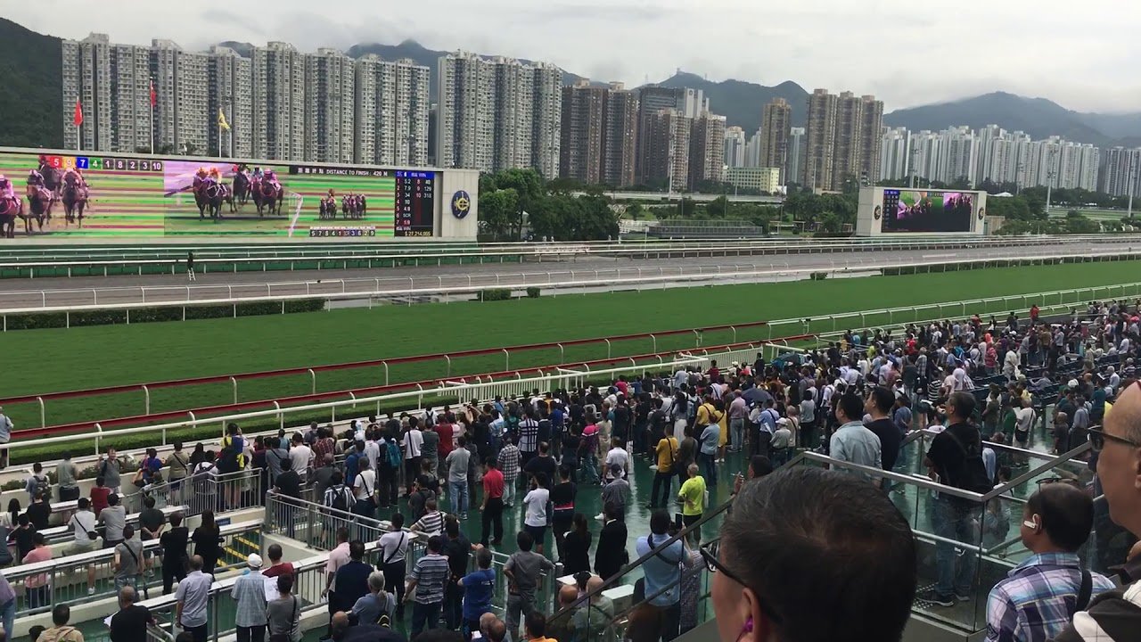 Hong Kong horse races canceled over fears of political unrest - Hong ...