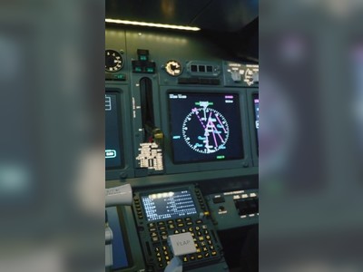 An automatic flight control system is described as dumb and dutiful