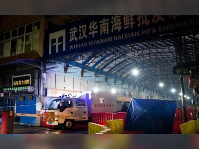 Suspected cases of Wuhan diseases seen in Shenzhen, Shanghai
