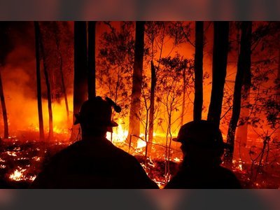 Disinformation and lies are spreading faster than Australia's bushfires