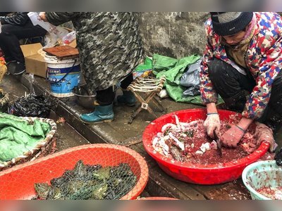 China bans wildlife trade as Wuhan coronavirus spreads, death toll climbs