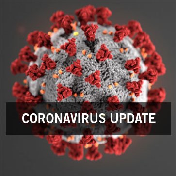 Coronavirus deaths top 11,000 globally