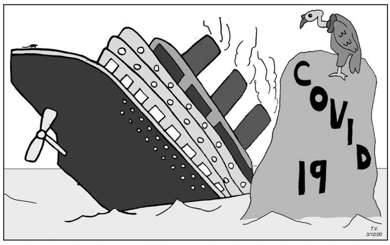 How the deadly coronavirus brought an industry to its knees: The 'cruise lines 9/11'