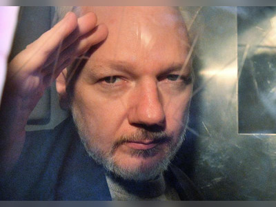 Wikileaks’ Assange ‘fathered 2 kids with lawyer in Ecuador embassy’