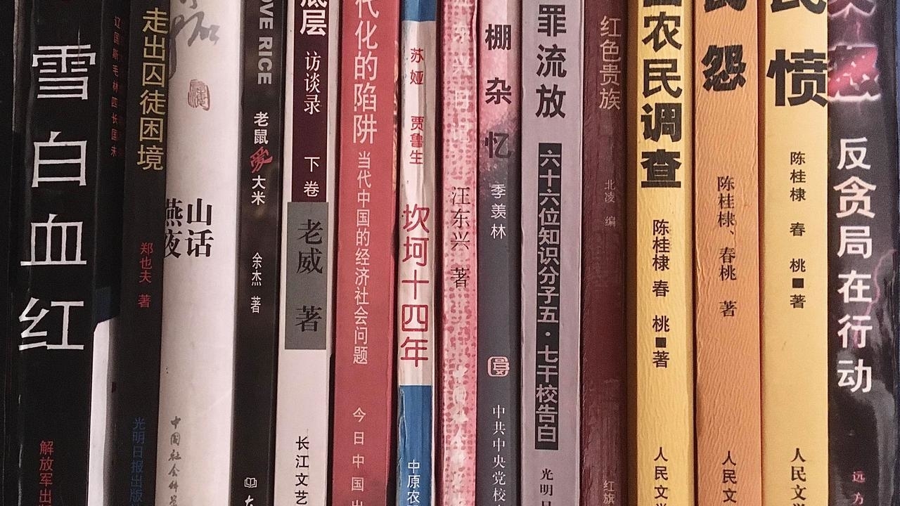 Pro-democracy books disappear from libraries as Hong Kong steps up censorship