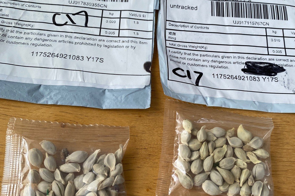 Recipients warned not to plant mysterious, unsolicited seeds mailed to US from China