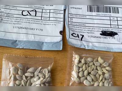 Recipients warned not to plant mysterious, unsolicited seeds mailed to US from China