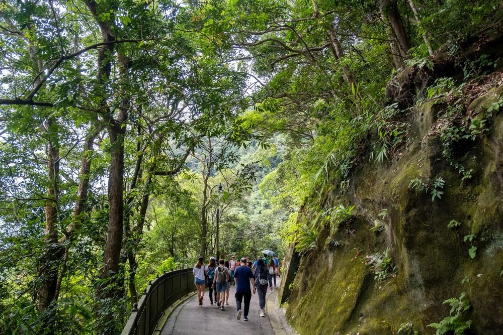 Hiking Into the Wilds of Hong Kong
