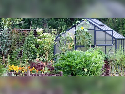 How to Plan a Bigger, Better Vegetable Garden