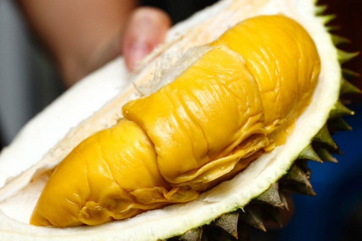Chinese buy US$15 million worth of Malaysian Musang King durian in one hour