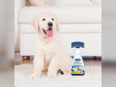Cleaning tips every pet-lover should know to keep their home spotless and hair free