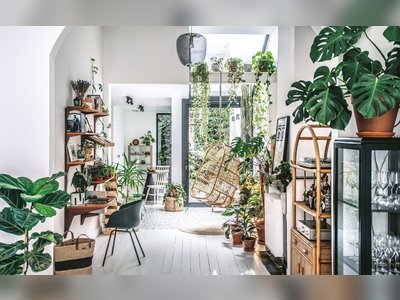 6 Expert Tips for Decorating With Houseplants So Every Room Feels Like an Oasis