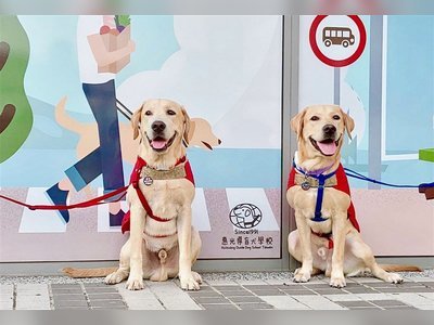 Taiwanese foundation gifts trainee guide dogs to South Korea, Hong Kong