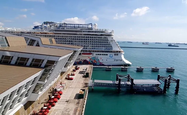 Covid Scare On Singapore Cruise Ship Was "False Alarm", Say Authorities