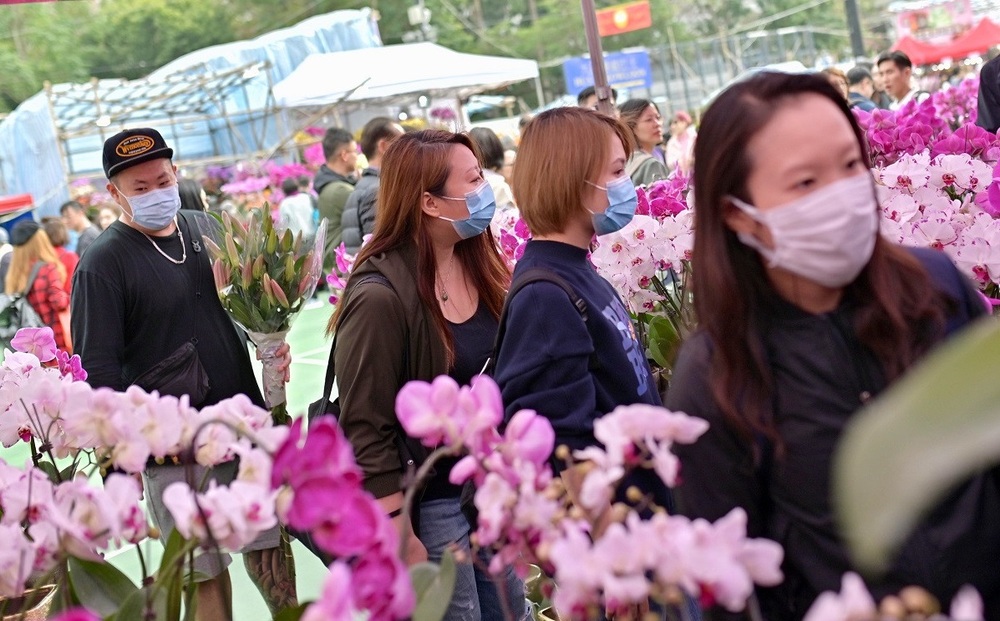 Lunar New Year fairs to resume flower selling with number of stalls halved