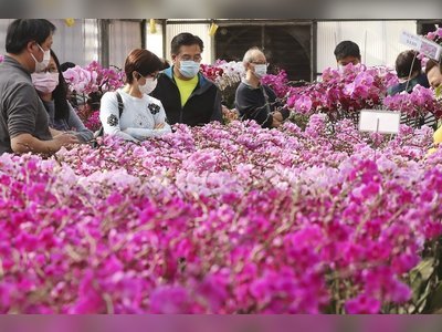 Florists have till Friday to decide on joining Lunar New Year flower fairs