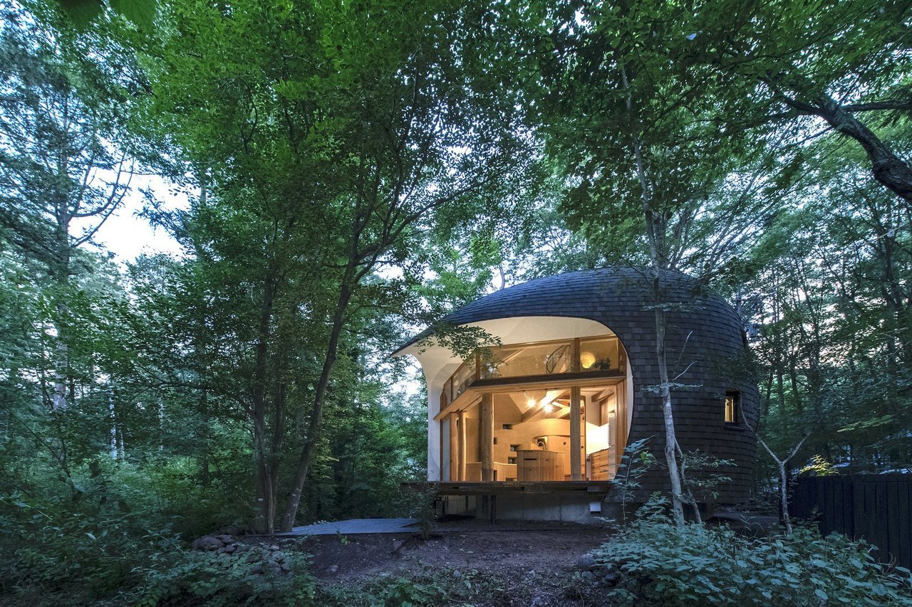 This Curvaceous Timber and Earth Cabin Blends Into a Japanese Forest