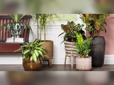 20 of the Best-and Most Stylish-Indoor Planters for Every Size Plant