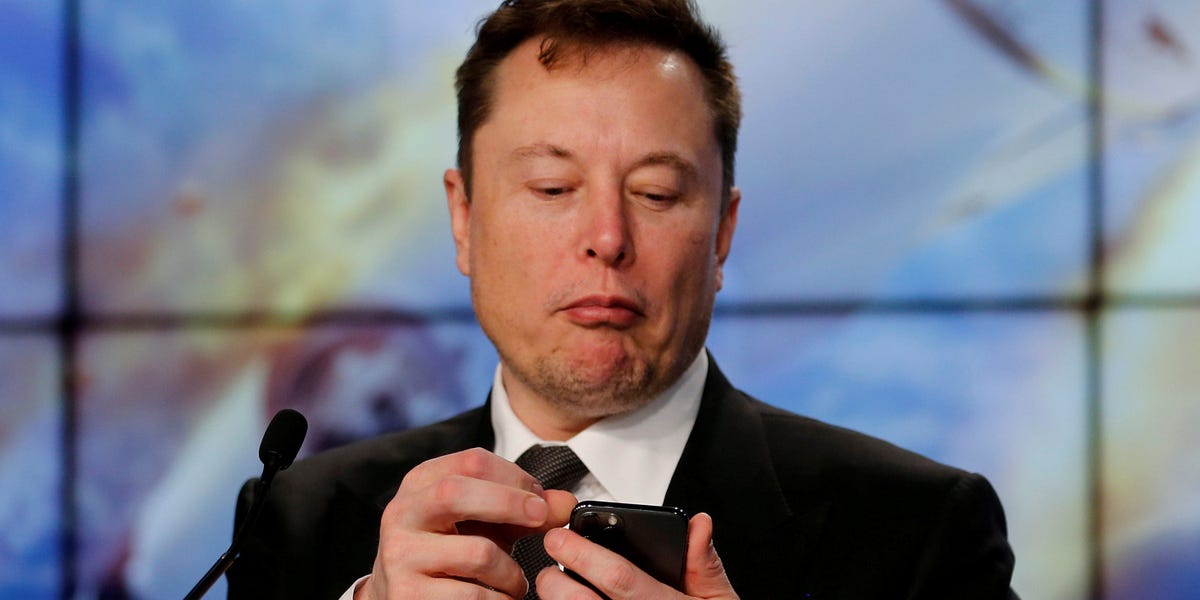 A senator has urged Elon Musk to move to Wyoming as it has the 'best laws' for bitcoin and is 'the perfect state for innovation'