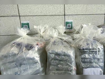 Police arrest suspected drug trafficker, seize HK$35 million worth of cannabis buds