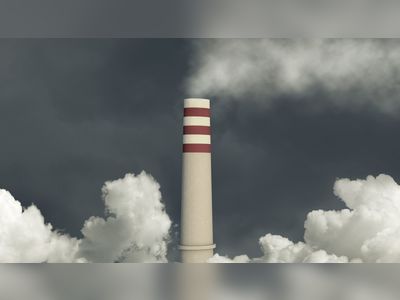 Human penises are shrinking because of pollution, warns scientist