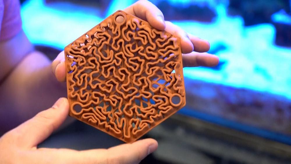 3D-printed tiles are being used to restore Hong Kong's coral reefs