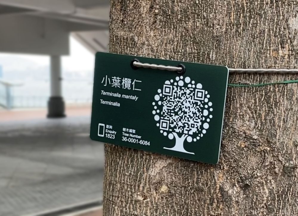 QR code tree tags put up on 200,000 trees next year