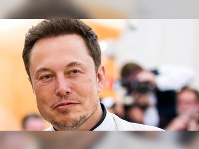 Elon Musk crowns himself 'Technoking of Tesla' - as finance chief Zachary Kirkhorn becomes 'master of coin'