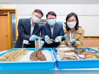 Shrimp and shellfish bounced back after Hong Kong banned trawling