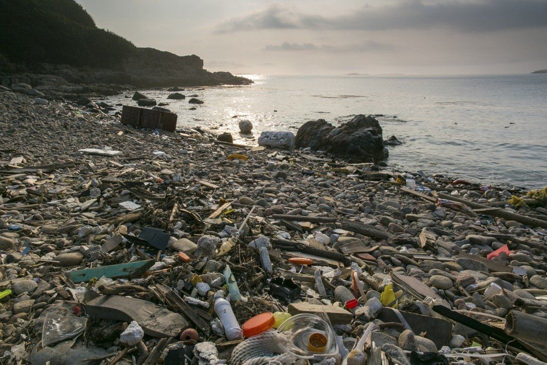 Could do better: Hong Kong gets passing grade on marine rubbish clean-up