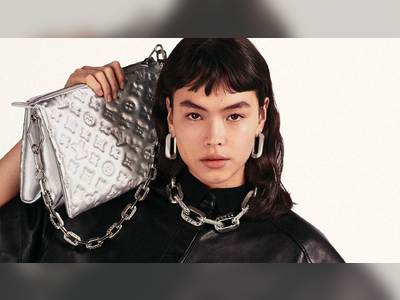 Louis Vuitton Coussin: Bag Meets Zeitgeist