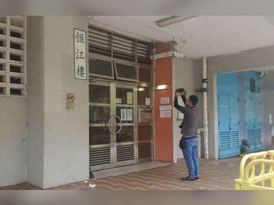 Burglar related to Ma On Shan public estate burglary arrested