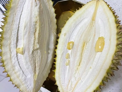 Durian bummer
