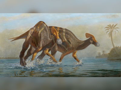 New 'Peaceful But Talkative' Species of Dinosaur Identified in Mexico