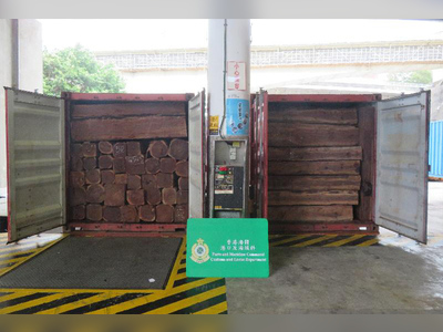 Ministry probes exports of luxury wood to Hong Kong
