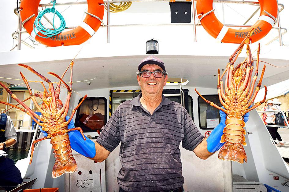 Australian lobsters getting into China via Hong Kong - Taipei Times