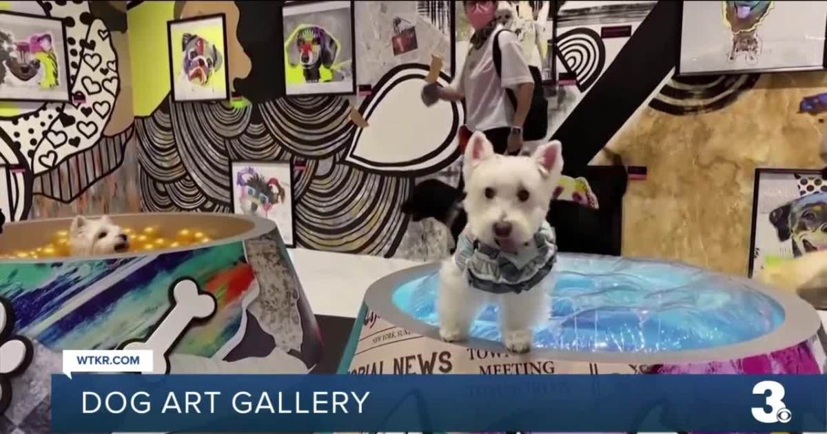 Art gallery in Hong Kong designed for dogs allows bonding with owners