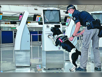 New furry 'ambassadors' to greet airport arrivals
