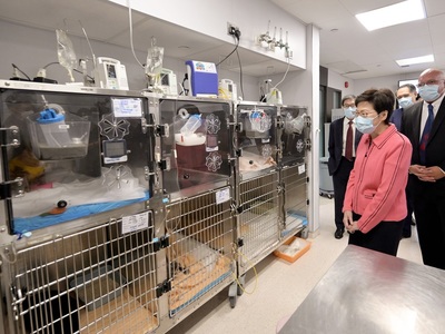 Carrie Lam visits CityU Veterinary Medical Centre