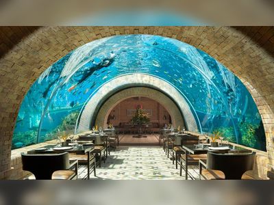 Take a look at the most Instagrammable restaurants in the world, according to Tripadvisor