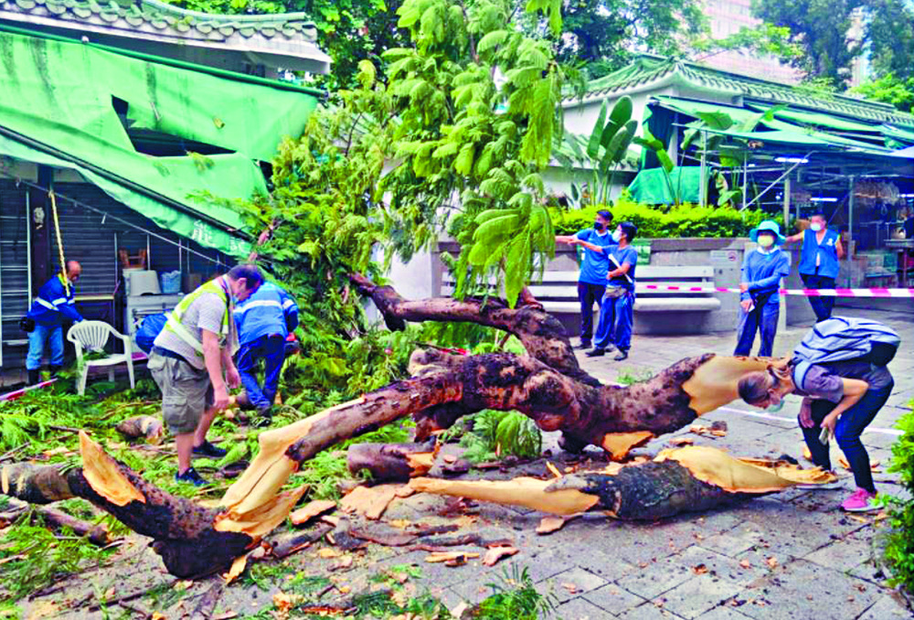 Wind and rain to lash city again