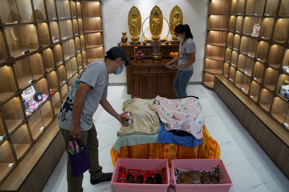 Hong Kong pet funerals aim for respectful farewell rather than landfill waste