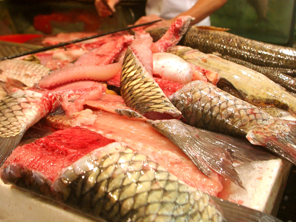 Malachite green in grass carp sample from a supermarket in Tseung Kwan O