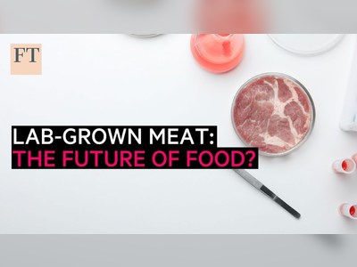 Lab-grown meat: The future of food?