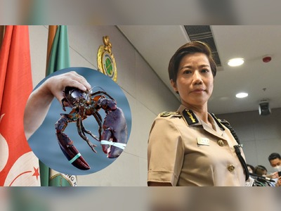 Aussie lobsters a national security threat: customs chief