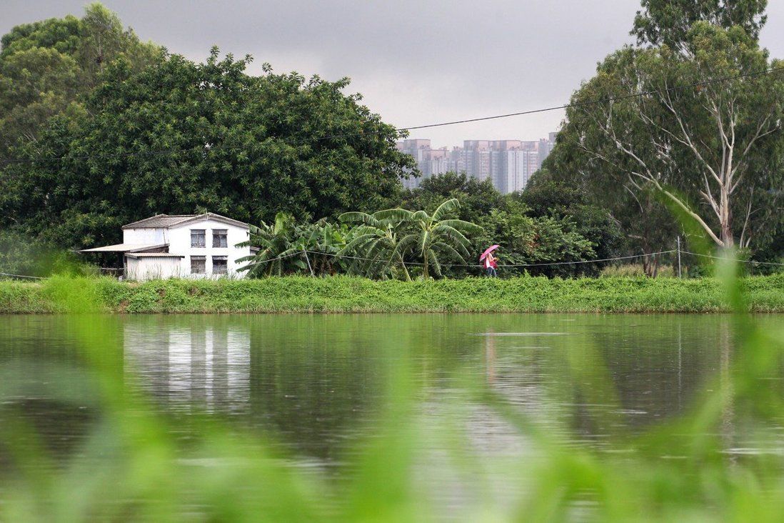 Hong Kong firm that owns wetlands in Northern Metropolis calls for fair planning review