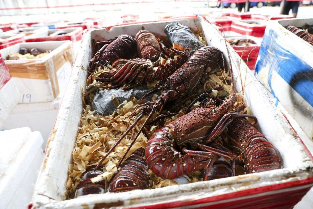 7 arrested in swoop over HK$180 million worth of imported lobsters