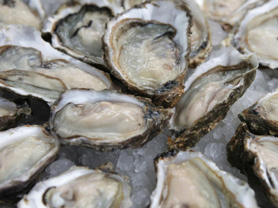 Raw oysters from Coffin Bay under recall due to suspected contamination
