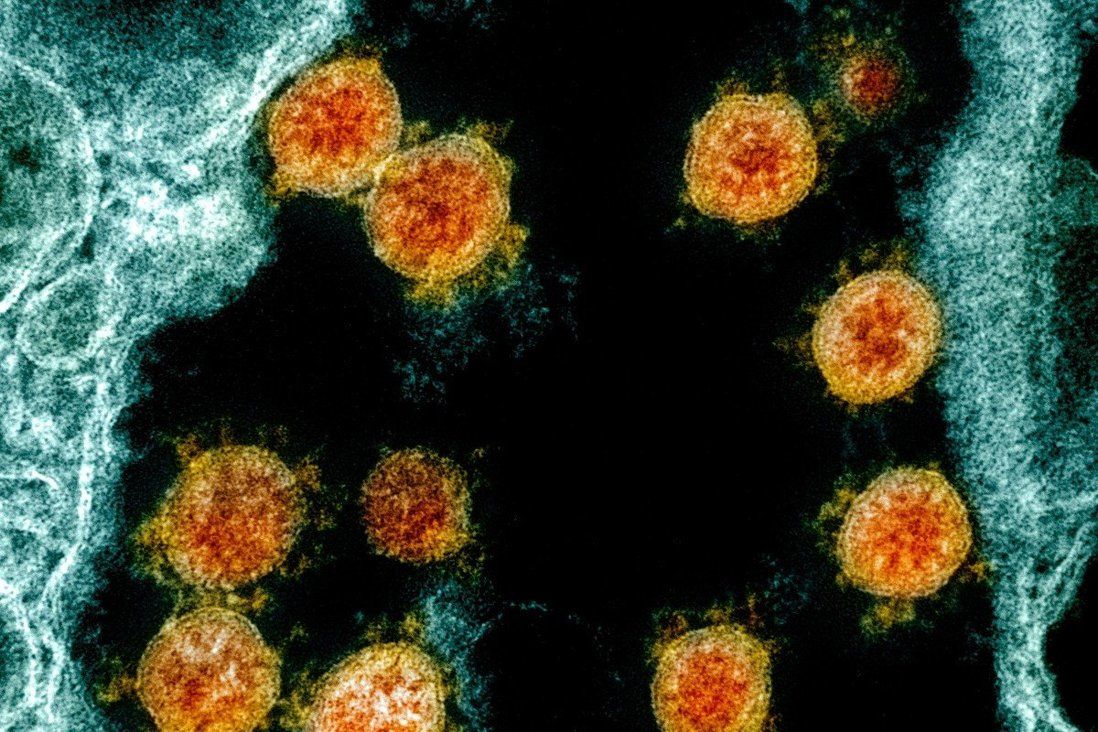 What do we know about the new coronavirus variant, and should Hong Kong be worried?