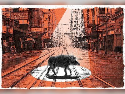 Blood on the tracks as Hong Kong’s boar war begins